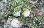 Śmieci wywiezione z cmentarza w Woli Osowińskiej (zdjęcie 2)