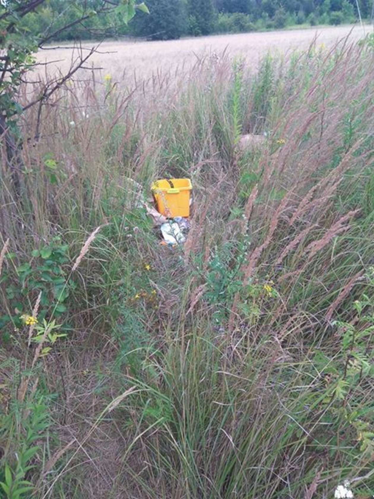  Alarm 24: Ktoś zrobił sobie dzikie śmietnisko na Felinie (zdjęcie 2) - Autor: Alarm 24