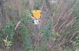 Alarm 24: Ktoś zrobił sobie dzikie śmietnisko na Felinie (zdjęcie 2)