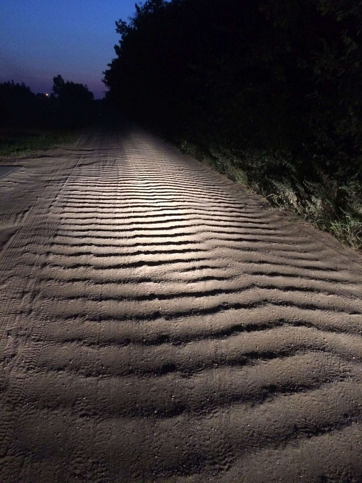  Gruntowa droga w gminie Biała Podlaska (zdjęcie 4) - Autor: Czytelniczka / Alarm 24