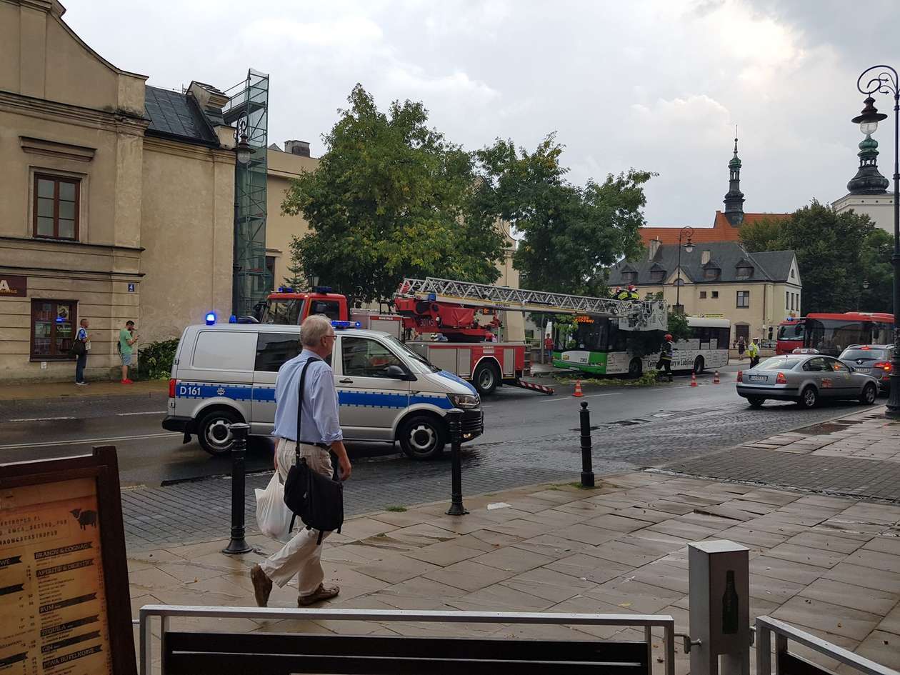  Lublin po burzy. Gałąź spadła na autobus (zdjęcie 14) - Autor: Kamil