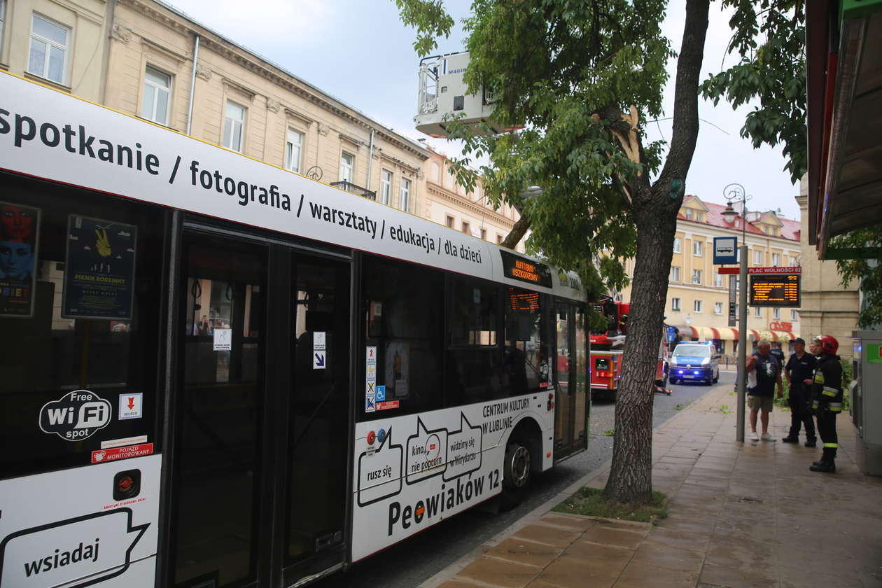 Lublin po burzy. Gałąź spadła na autobus - Autor: Paweł Buczkowski