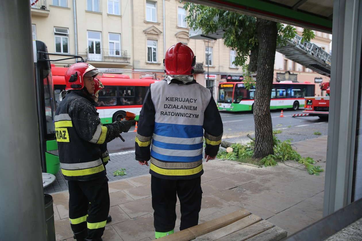  Lublin po burzy. Gałąź spadła na autobus (zdjęcie 5) - Autor: Paweł Buczkowski