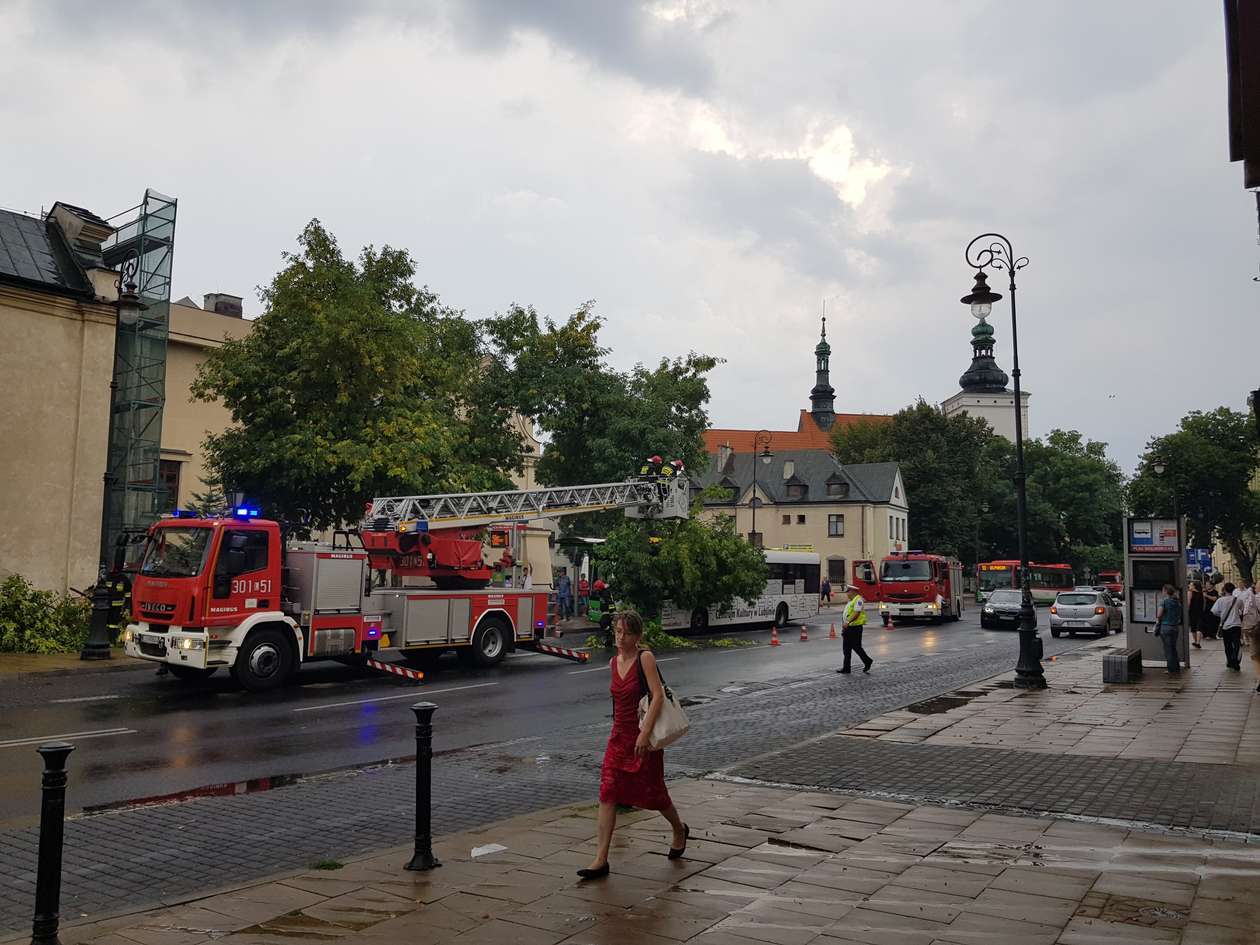  Lublin po burzy. Gałąź spadła na autobus (zdjęcie 15) - Autor: Kamil