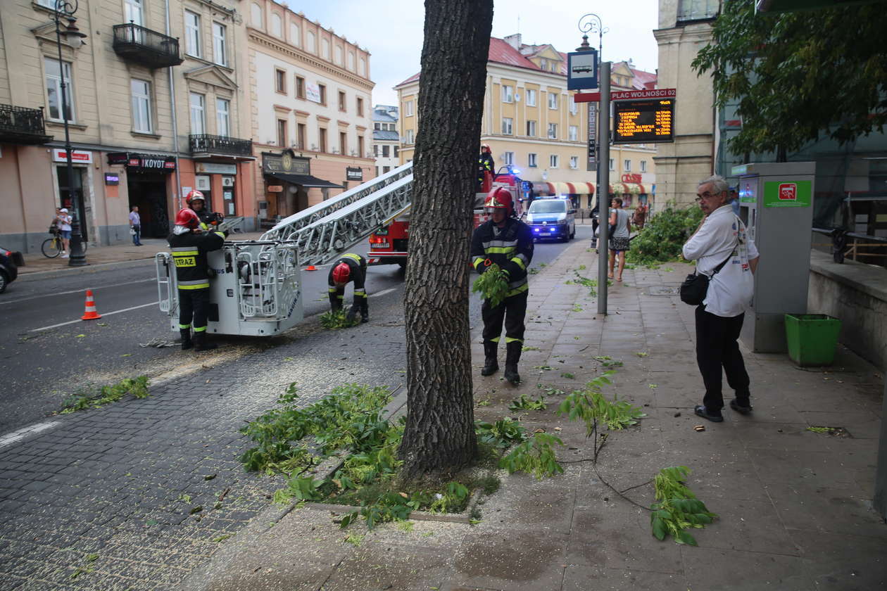 Lublin po burzy. Gałąź spadła na autobus