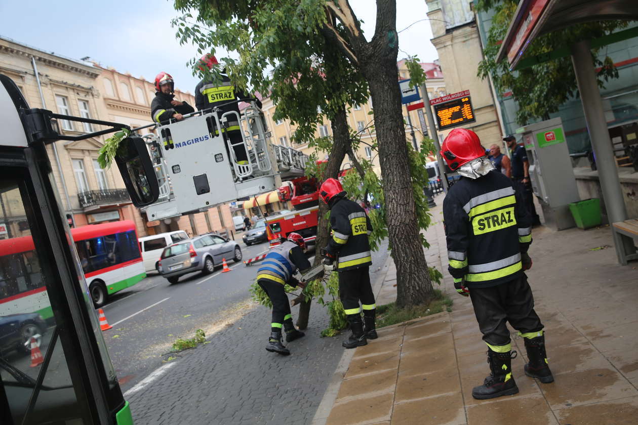  Lublin po burzy. Gałąź spadła na autobus (zdjęcie 9) - Autor: Paweł Buczkowski