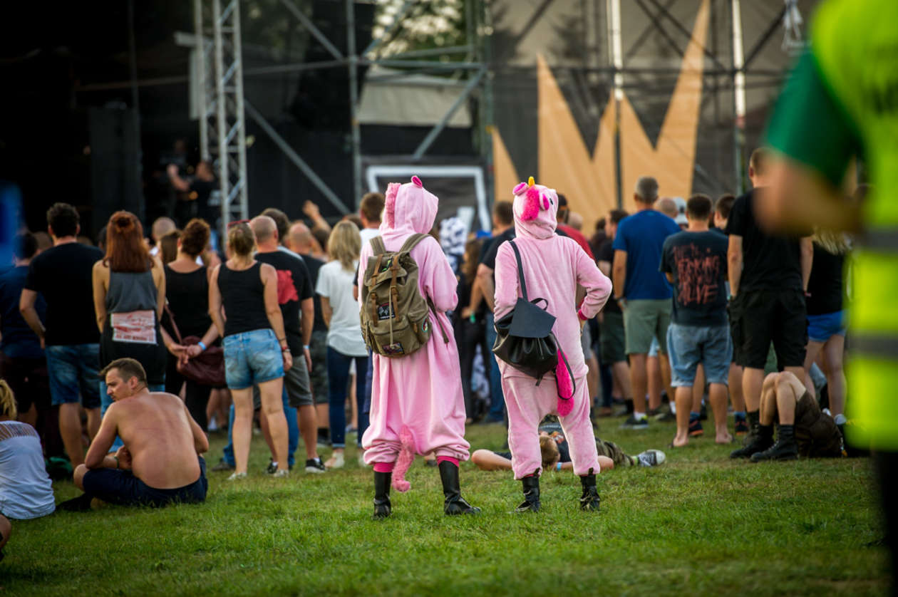  Cieszanów Rock Festiwal 2018 (zdjęcie 12) - Autor: mat. organizatora