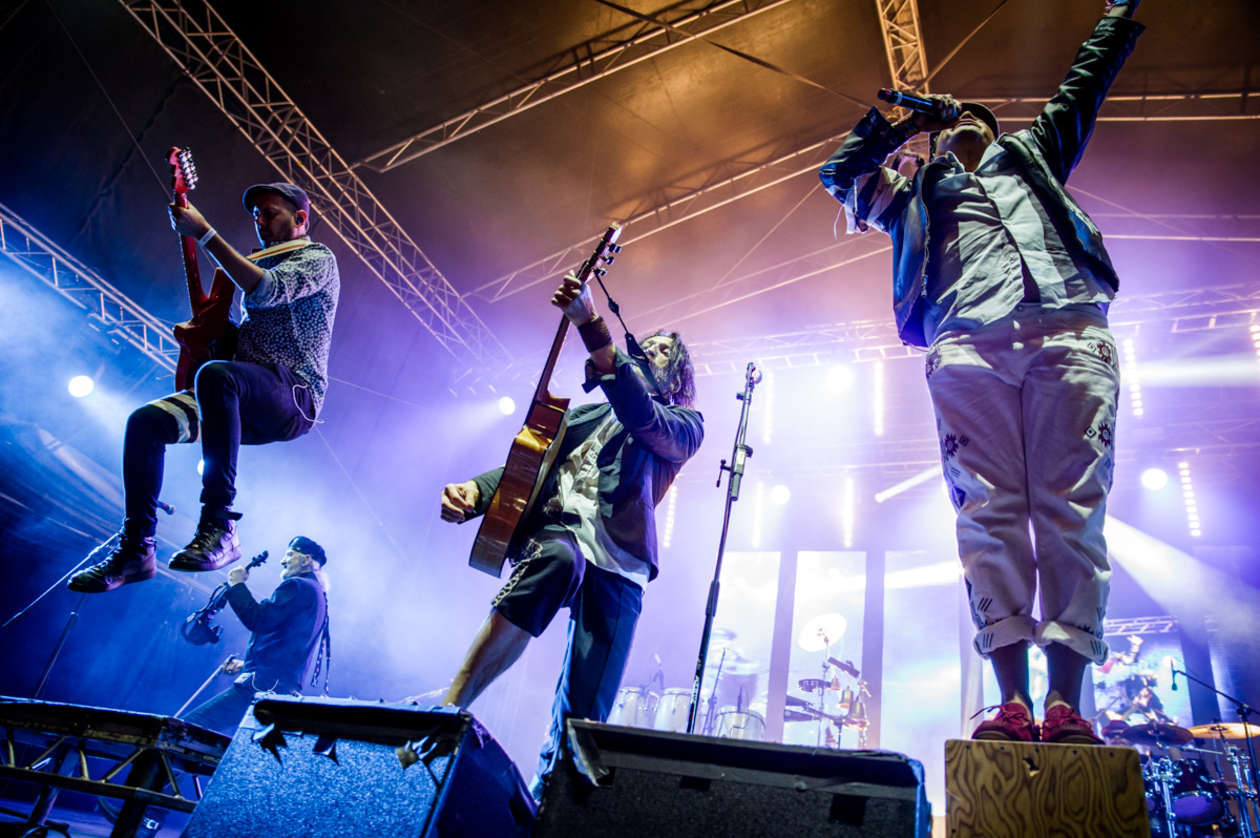  Cieszanów Rock Festiwal 2018 (zdjęcie 20) - Autor: mat. organizatora