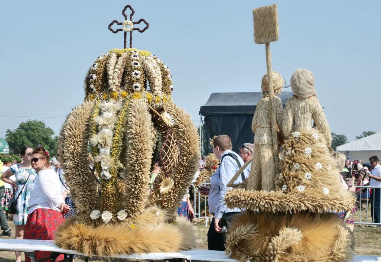  Wojewódzkie Dożynki w podlubelskim Radawcu (zdjęcie 8) - Autor: Maciej Kaczanowski