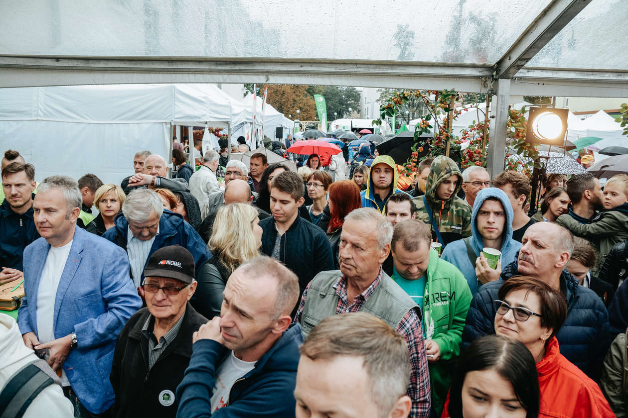 Lubelskie Święto Młodego Cydru 2018