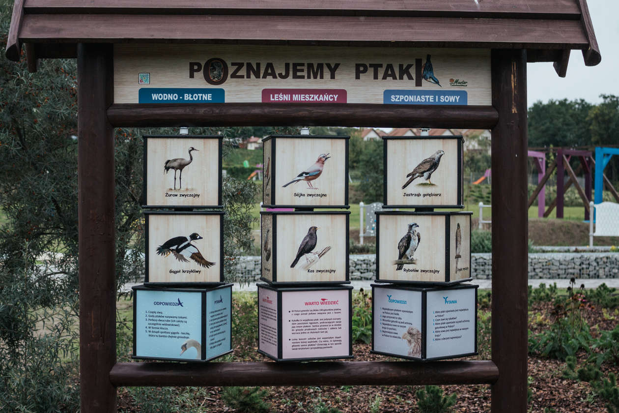  Nowy park przy ul. Zawilcowej w Lublinie (zdjęcie 15) - Autor: Krzysztof Mazur