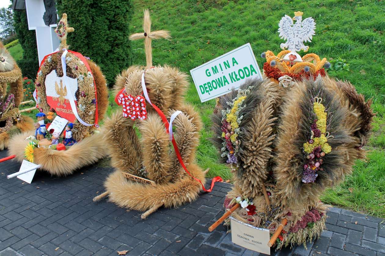 Morawiecki w Wąwolnicy, Wdzięczni Polskiej Wsi (zdjęcie 23) - Autor: Radosław Szczęch