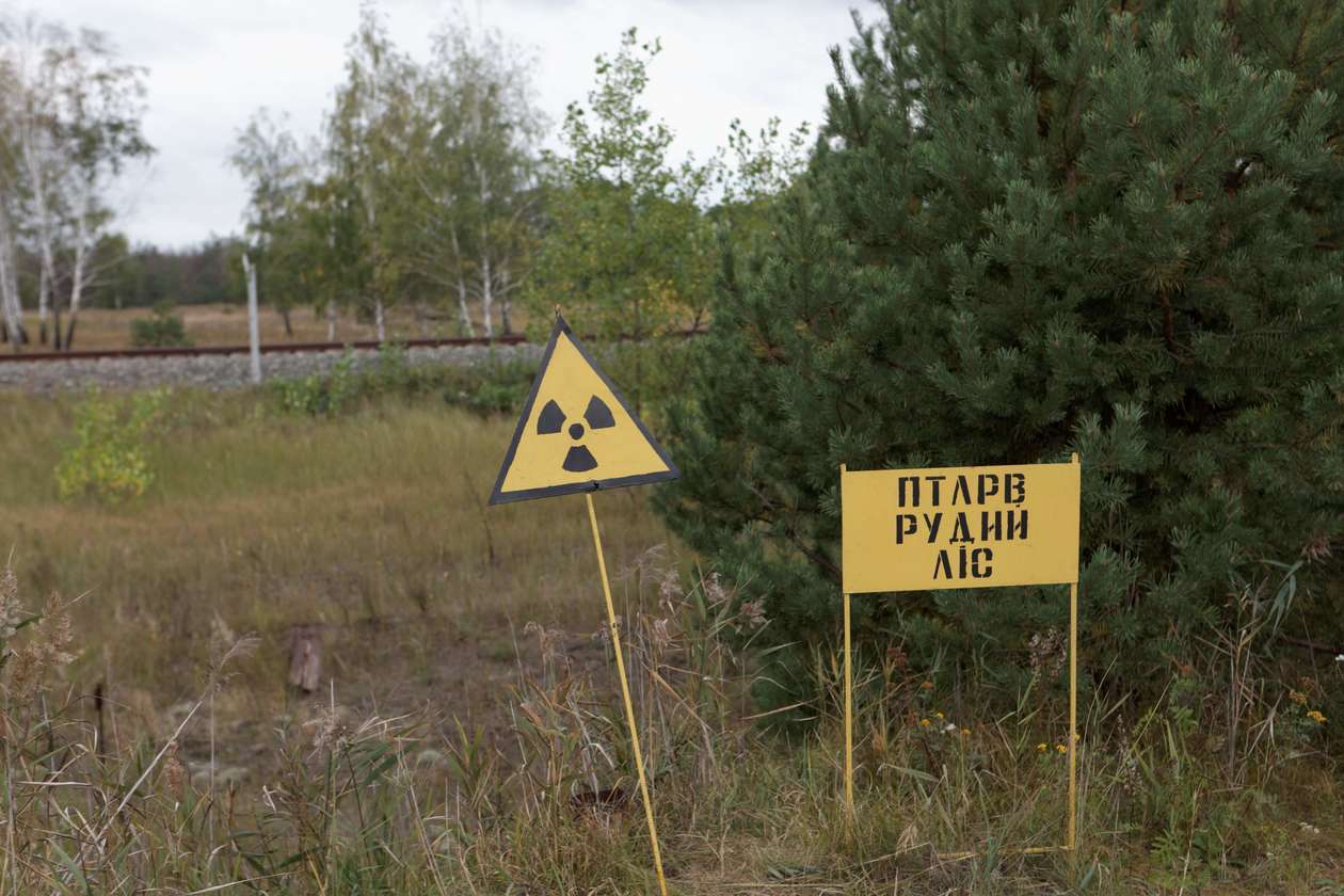  Czarnobylska Strefa Wykluczenia (zdjęcie 22) - Autor: Tomasz Piekut-Jóźwicki