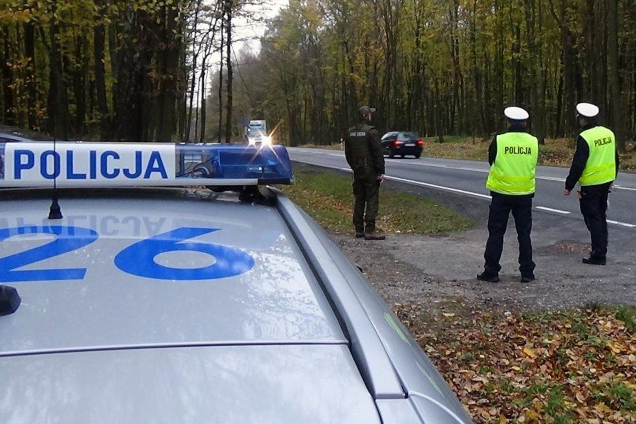  Akcja KPP w Kraśniku i Straży Leśnej Nadleśnictwa Kraśnik  (zdjęcie 2) - Autor: Policja