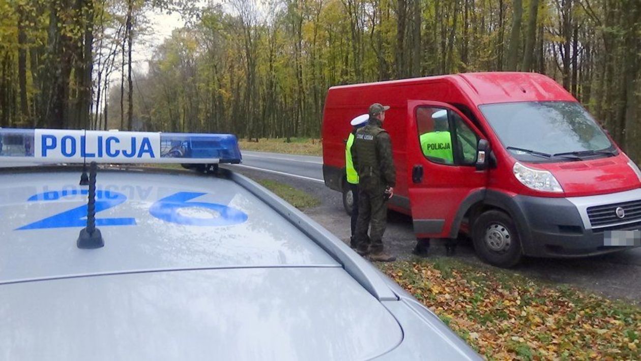 Akcja KPP w Kraśniku i Straży Leśnej Nadleśnictwa Kraśnik  - Autor: Policja