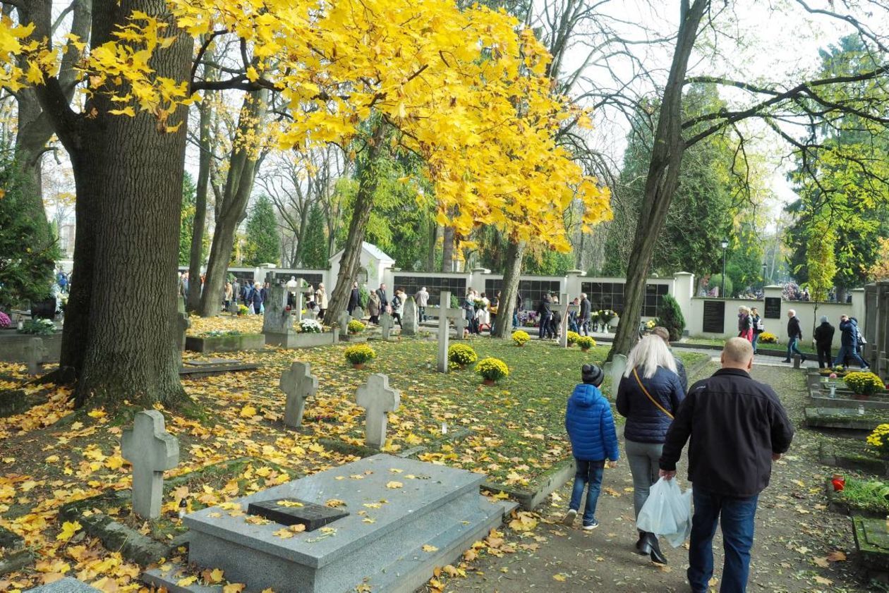  Dzień Wszystkich Świętych: cmentarz przy ul. Lipowej (zdjęcie 6) - Autor: Maciej Kaczanowski