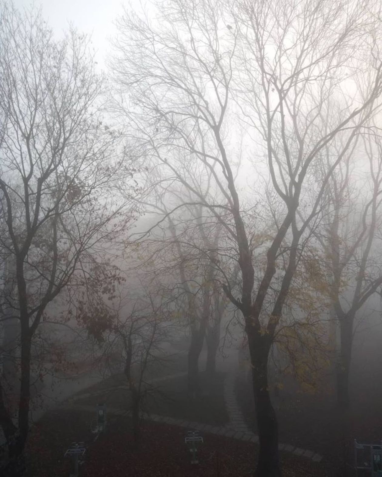  Mgła w Lublinie  - Autor: Sylwia Karłowicz