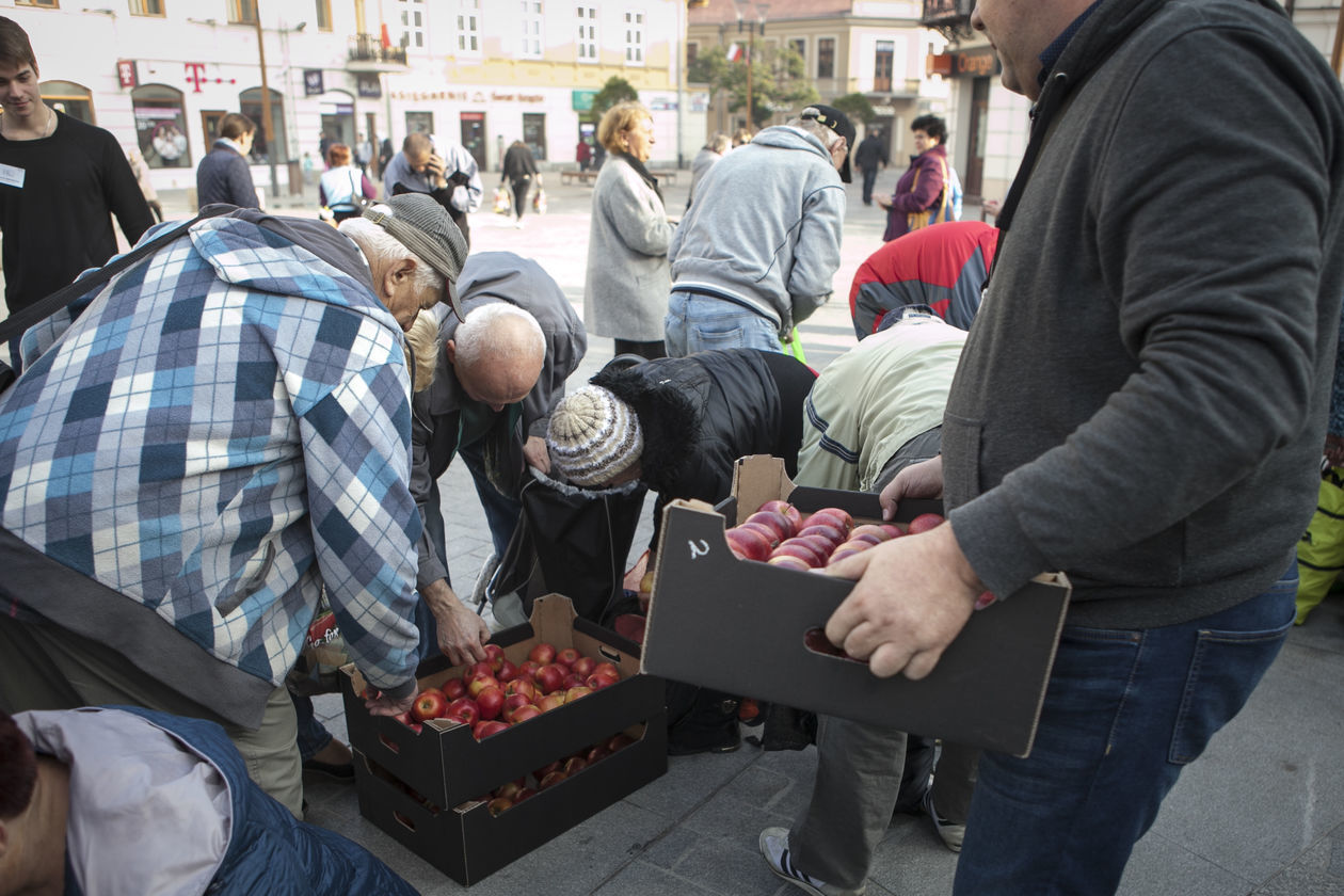  Darmowe jabłka w Lublinie (zdjęcie 5) - Autor: Jacek Szydłowski