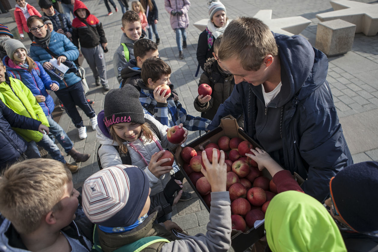  Darmowe jabłka w Lublinie (zdjęcie 19) - Autor: Jacek Szydłowski