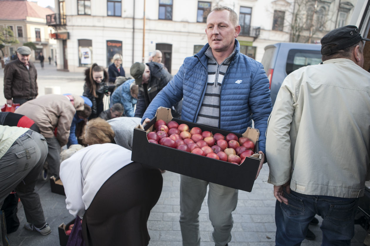  Darmowe jabłka w Lublinie (zdjęcie 7) - Autor: Jacek Szydłowski