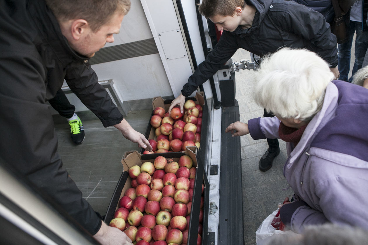  Darmowe jabłka w Lublinie (zdjęcie 12) - Autor: Jacek Szydłowski