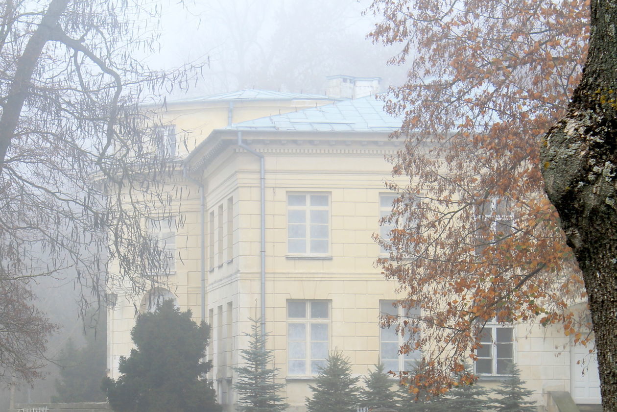  Mgła w Puławach  (zdjęcie 11) - Autor: Radosław Szczęch