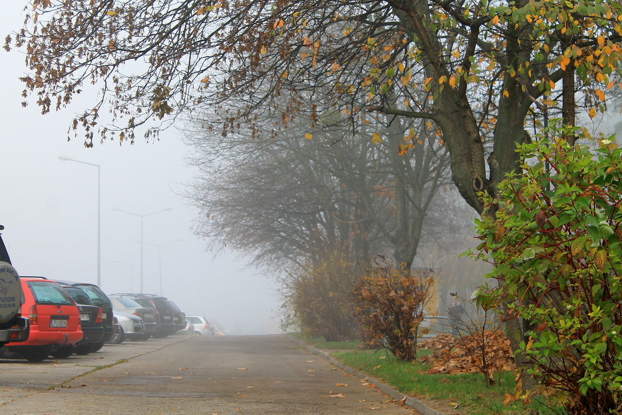  Mgła w Puławach  (zdjęcie 41) - Autor: Radosław Szczęch