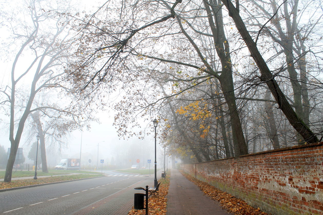  Mgła w Puławach  (zdjęcie 28) - Autor: Radosław Szczęch