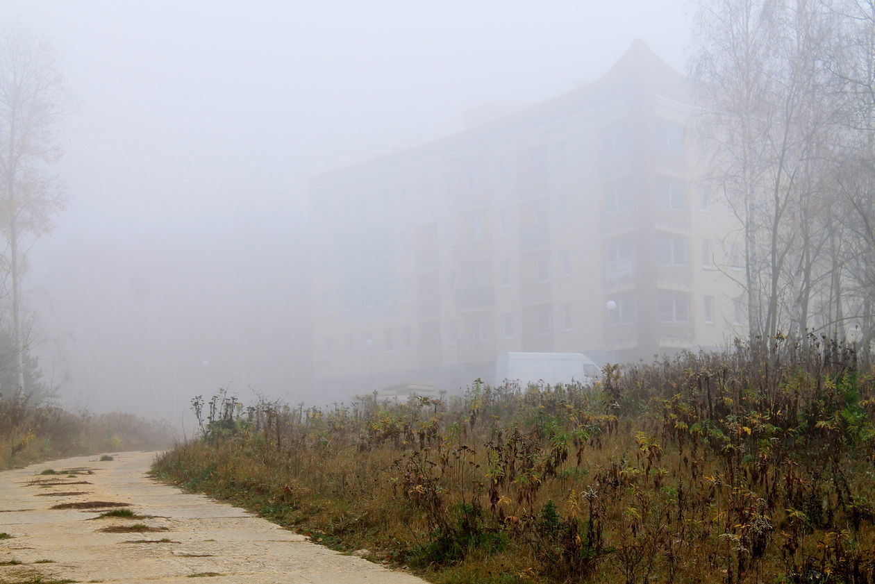  Mgła w Puławach  (zdjęcie 36) - Autor: Radosław Szczęch