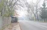 Mgła w Puławach  (zdjęcie 4)