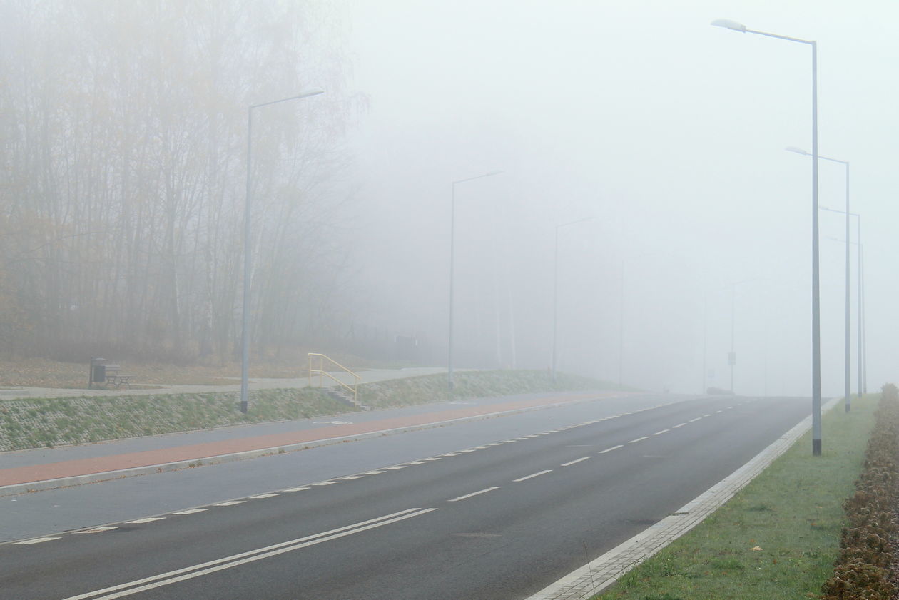  Mgła w Puławach  (zdjęcie 34) - Autor: Radosław Szczęch