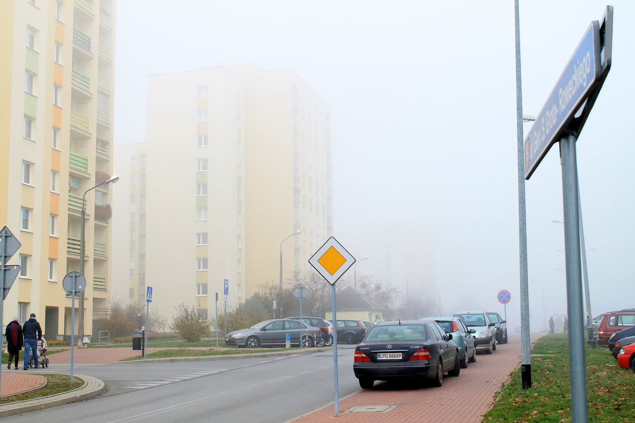  Mgła w Puławach   - Autor: Radosław Szczęch