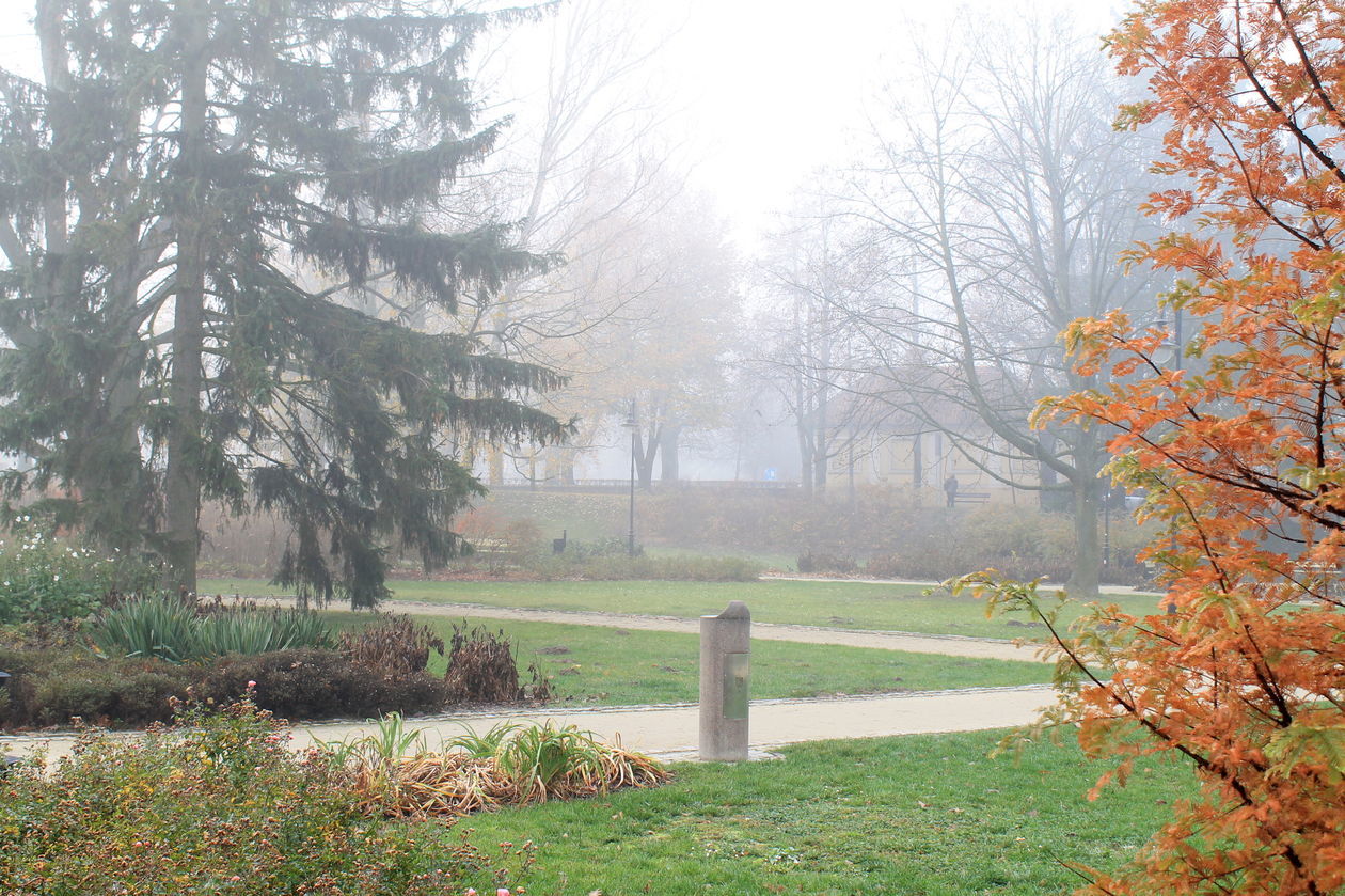  Mgła w Puławach  (zdjęcie 8) - Autor: Radosław Szczęch