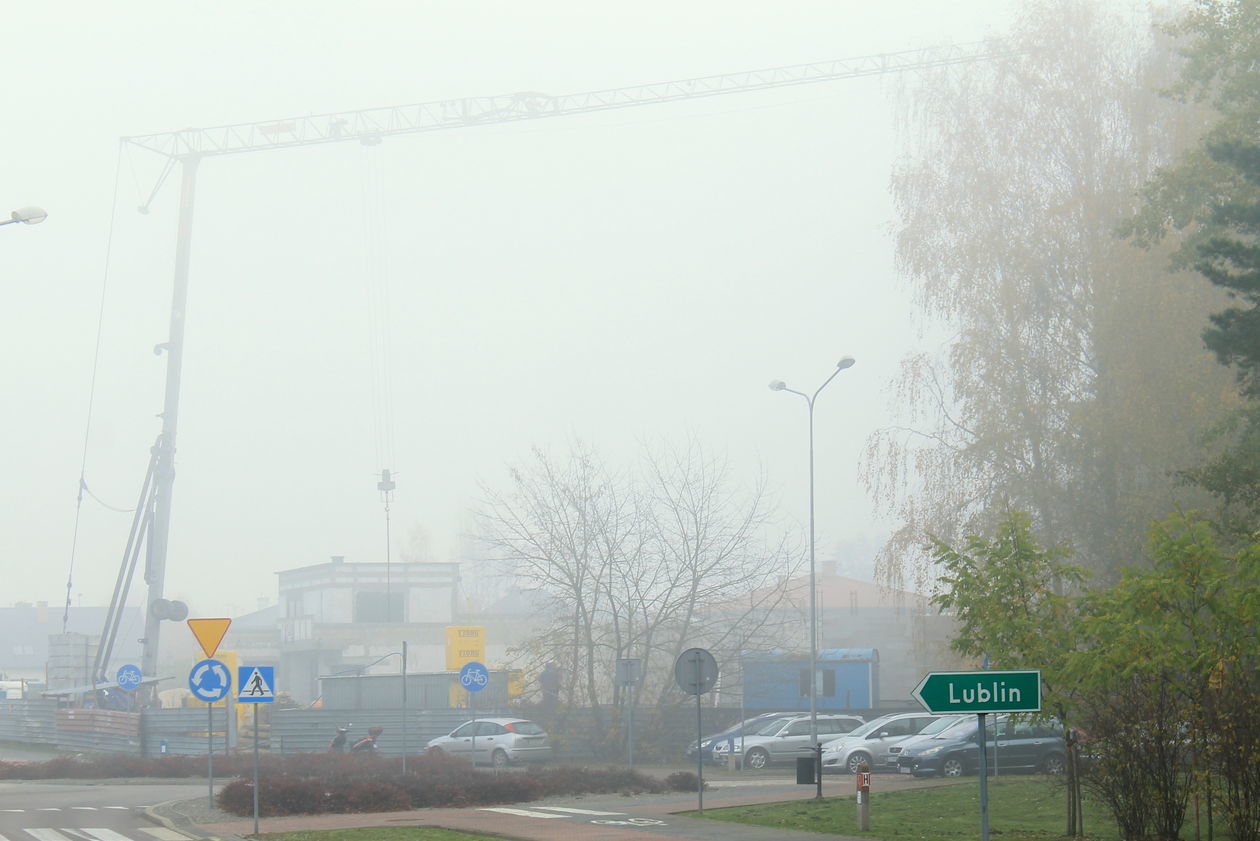  Mgła w Puławach  (zdjęcie 39) - Autor: Radosław Szczęch