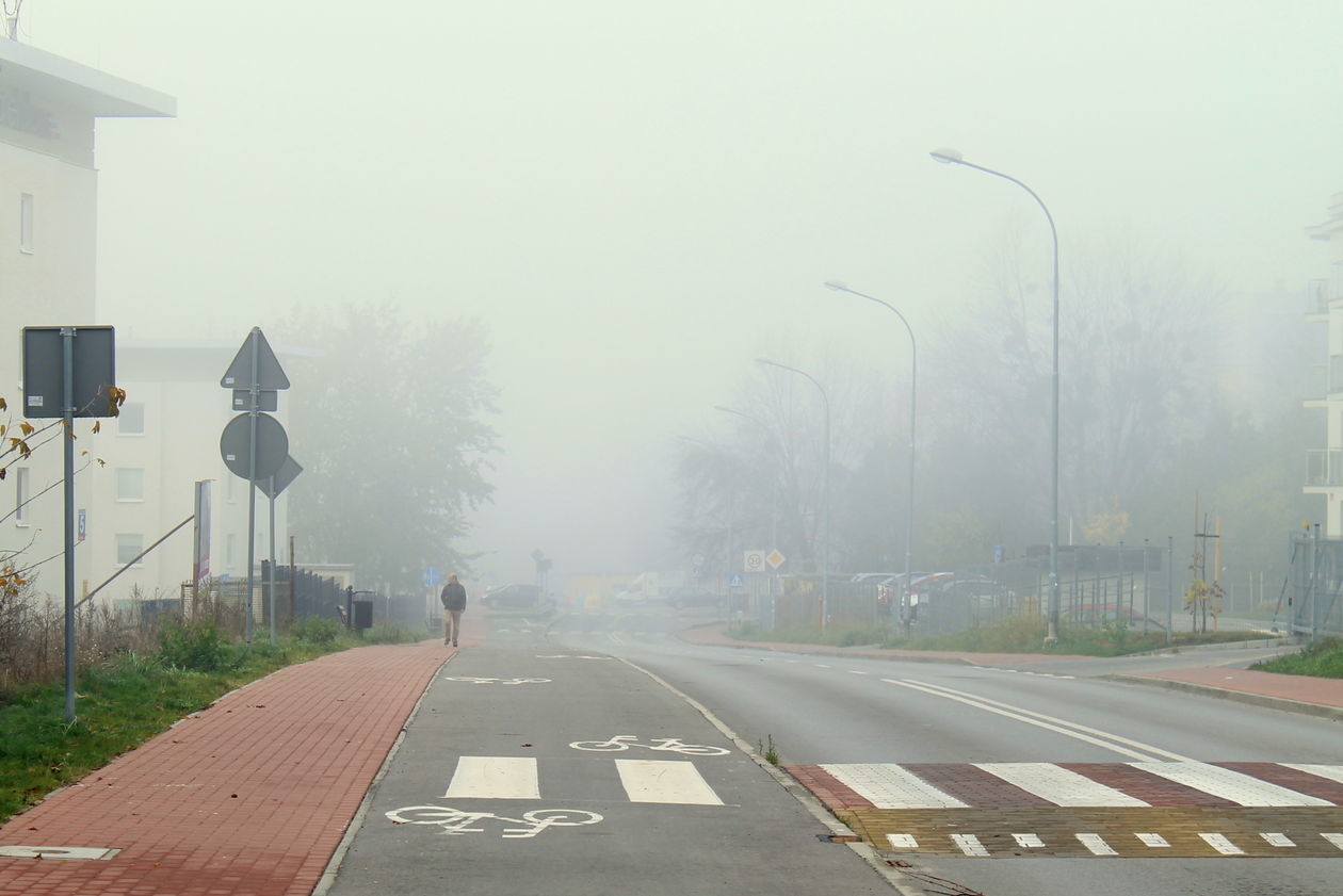  Mgła w Puławach  (zdjęcie 40) - Autor: Radosław Szczęch