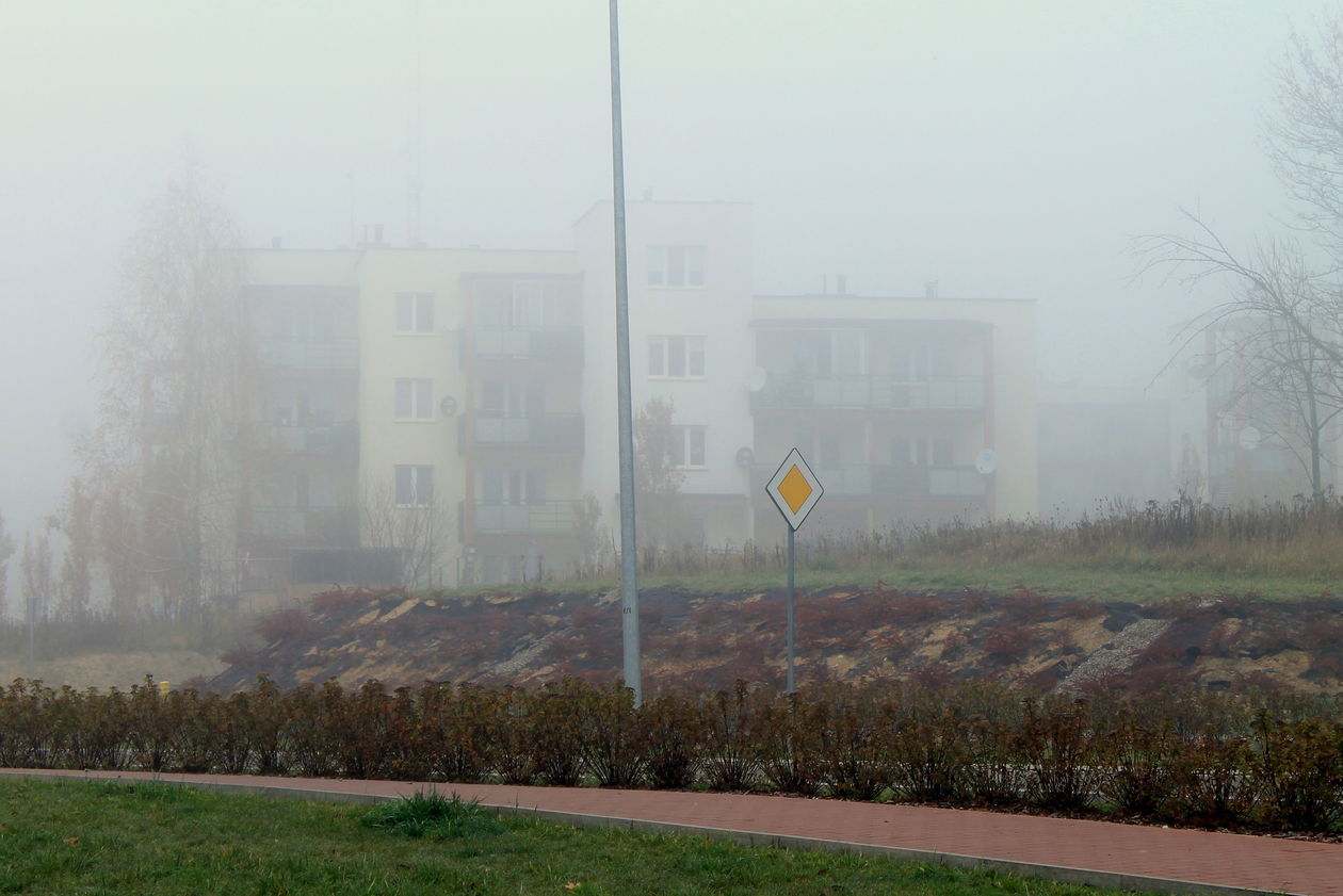  Mgła w Puławach  (zdjęcie 30) - Autor: Radosław Szczęch