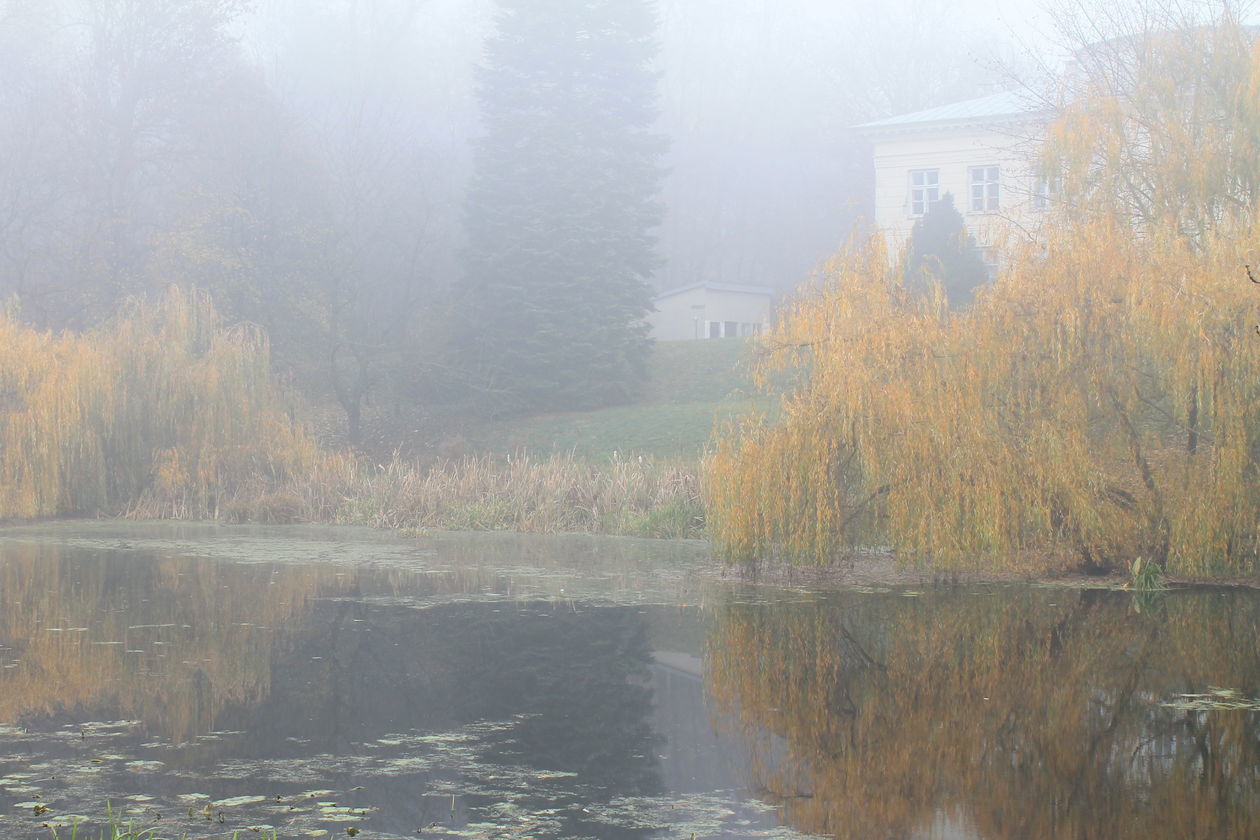  Mgła w Puławach  (zdjęcie 21) - Autor: Radosław Szczęch