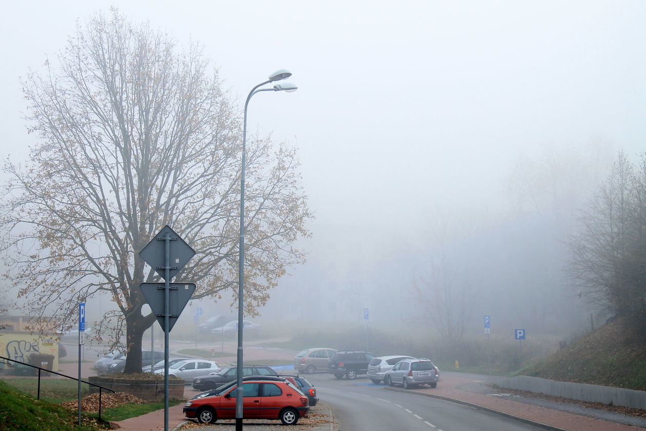  Mgła w Puławach  (zdjęcie 42) - Autor: Radosław Szczęch