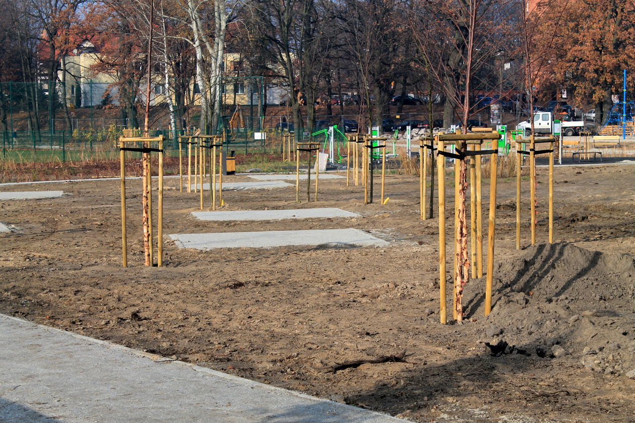  Trwa budowa nowych błoni  (zdjęcie 10) - Autor: Radosław Szczęch