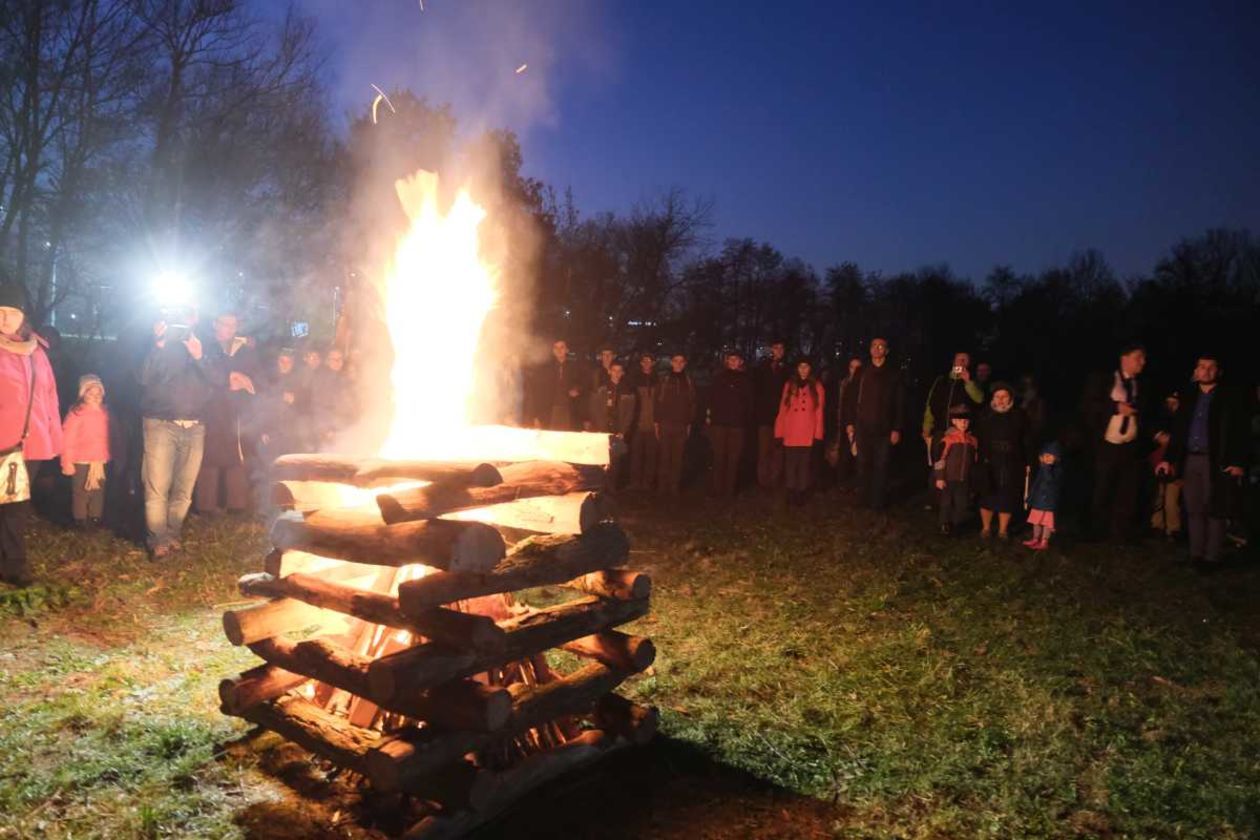  Piknik rodzinny Służymy Niepodległej w Targach Lublin i w Parku Ludowym (zdjęcie 1) - Autor: Maciej Kaczanowski