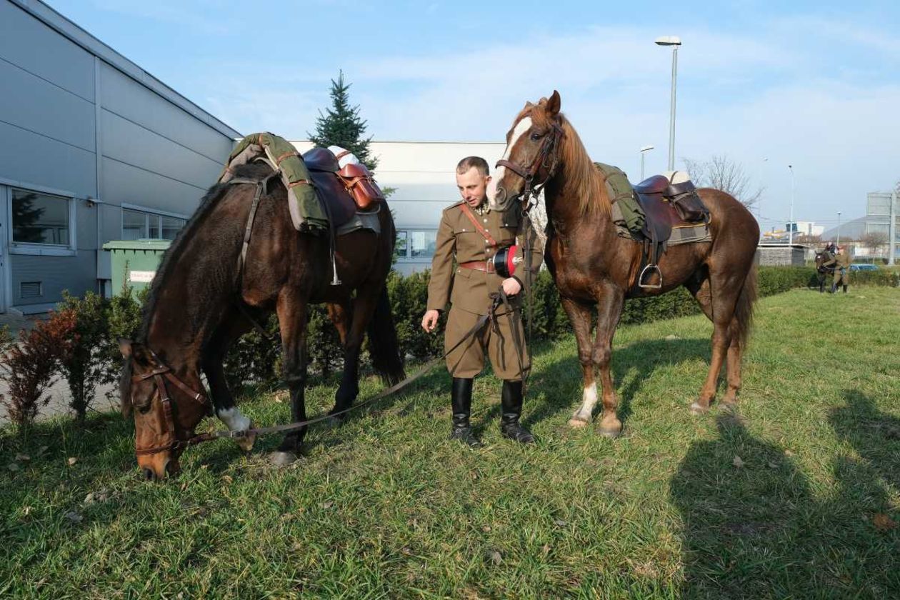  Piknik rodzinny Służymy Niepodległej w Targach Lublin i w Parku Ludowym (zdjęcie 1) - Autor: Maciej Kaczanowski