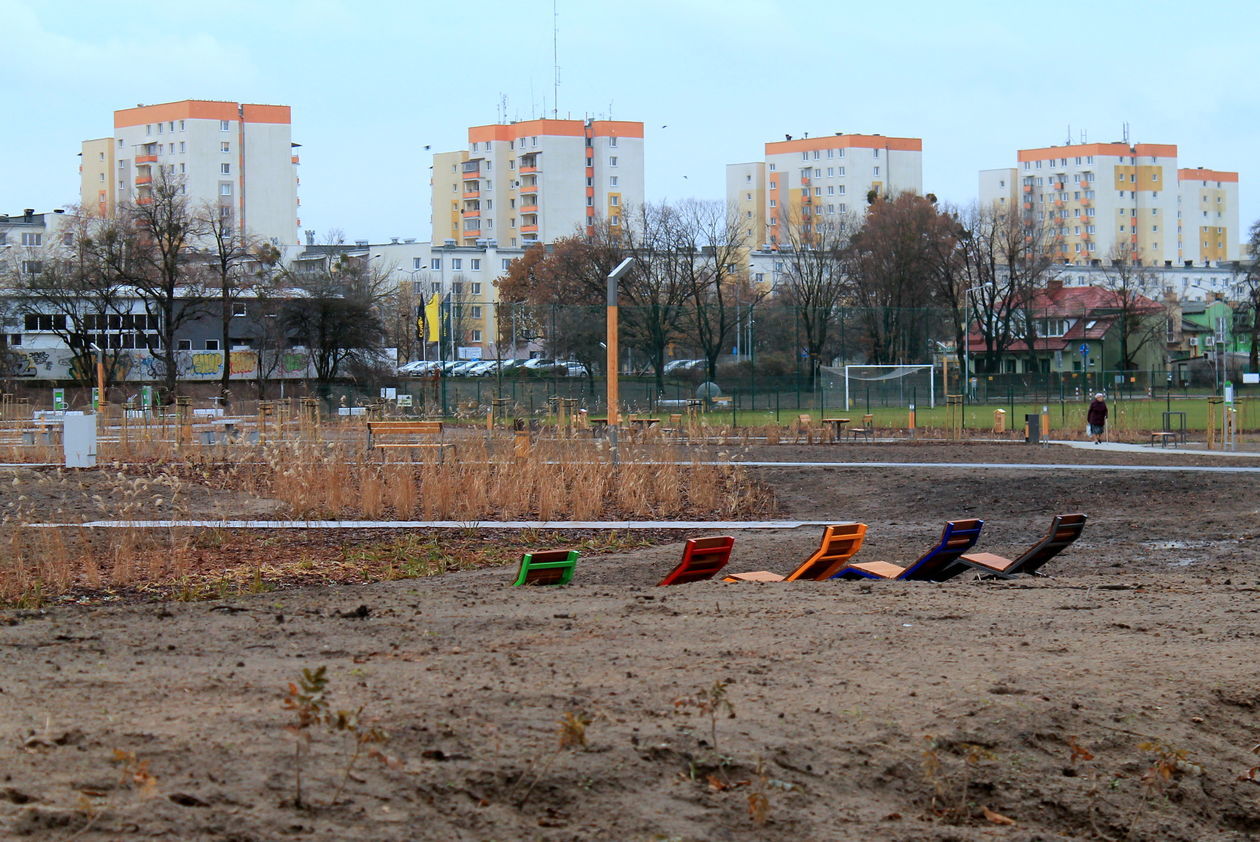  Błonia odebrane, czekają na spacerowiczów (zdjęcie 8) - Autor: Radosław Szczęch
