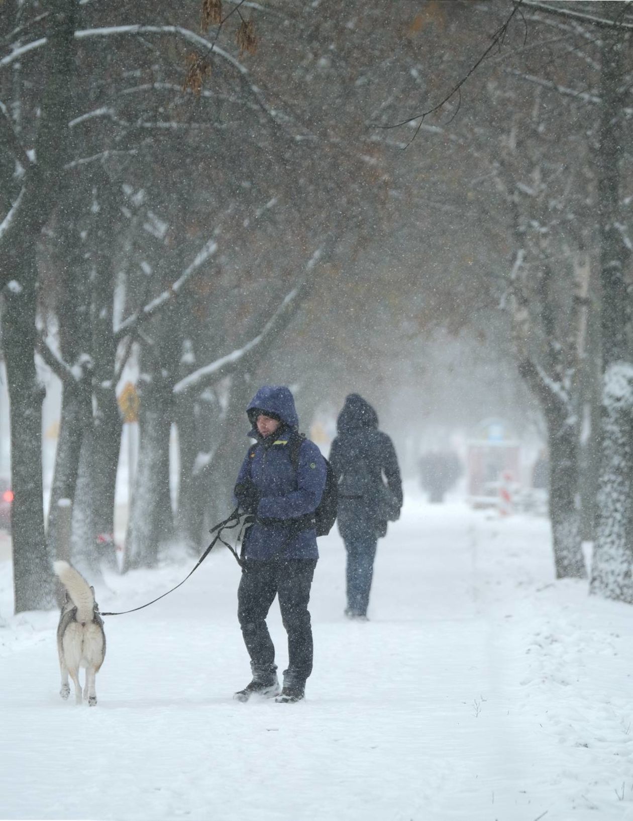  Śnieżyca nad Lublinem (zdjęcie 10) - Autor: Maciej Kaczanowski