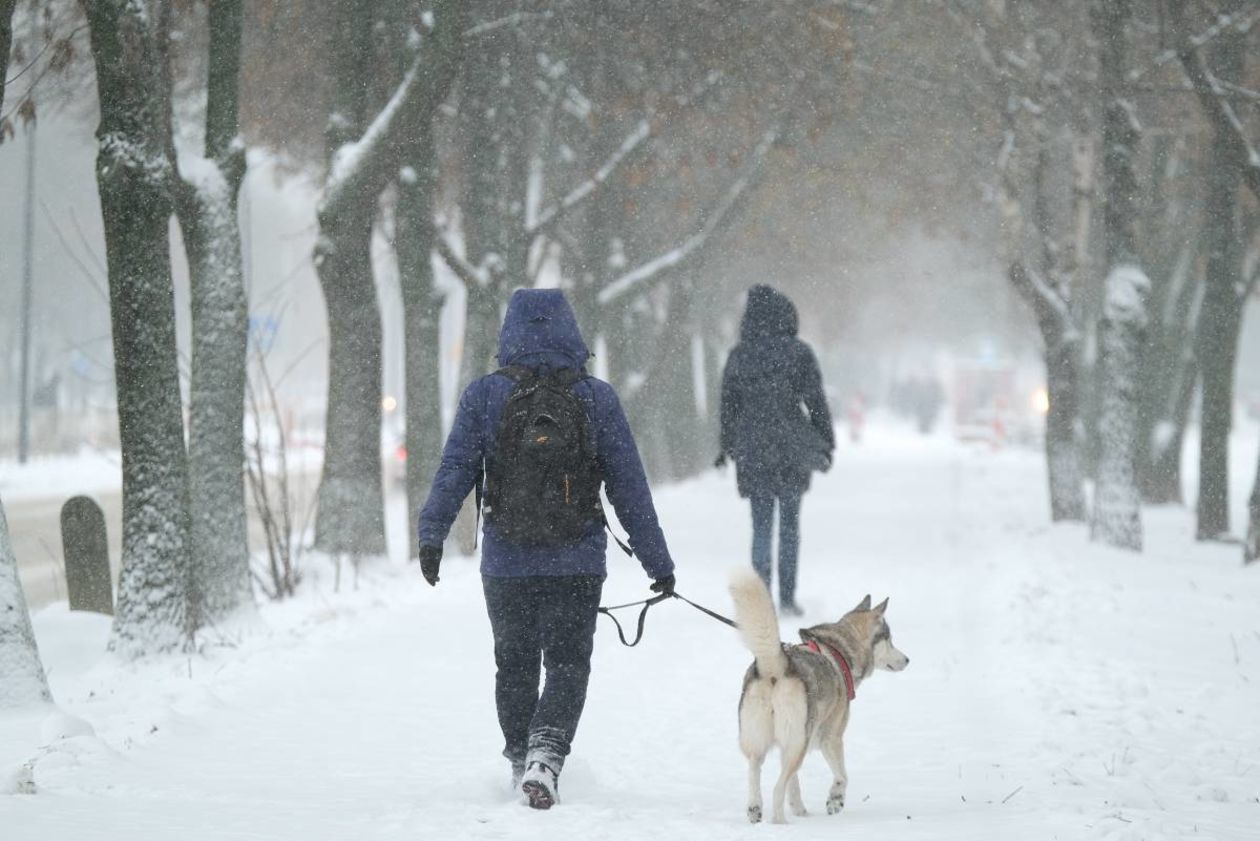  Śnieżyca nad Lublinem (zdjęcie 9) - Autor: Maciej Kaczanowski