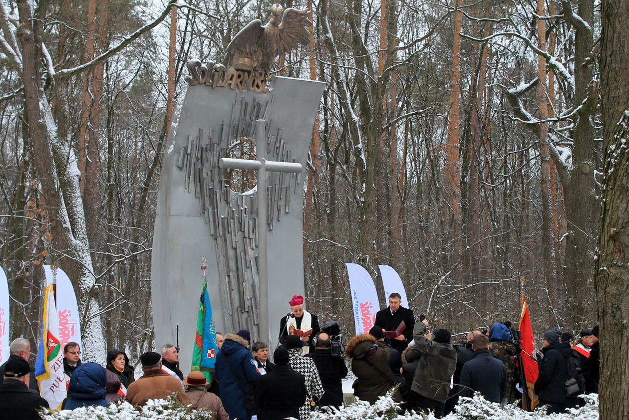  Odsłonięcie pomnika puławskiej Solidarności (zdjęcie 1) - Autor: Radosław Szczęch