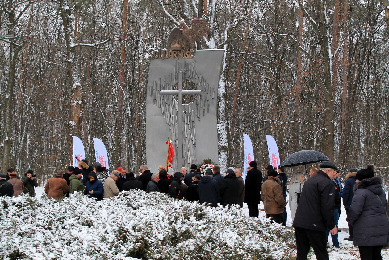  Odsłonięcie pomnika puławskiej Solidarności (zdjęcie 3) - Autor: Radosław Szczęch