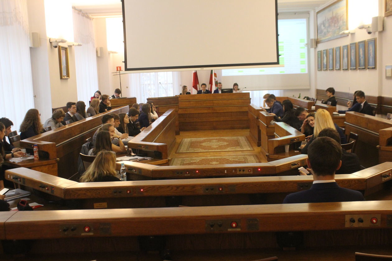  Młodzieżowa Rada Miasta w Lublinie (zdjęcie 5) - Autor: Mirosław Trembecki