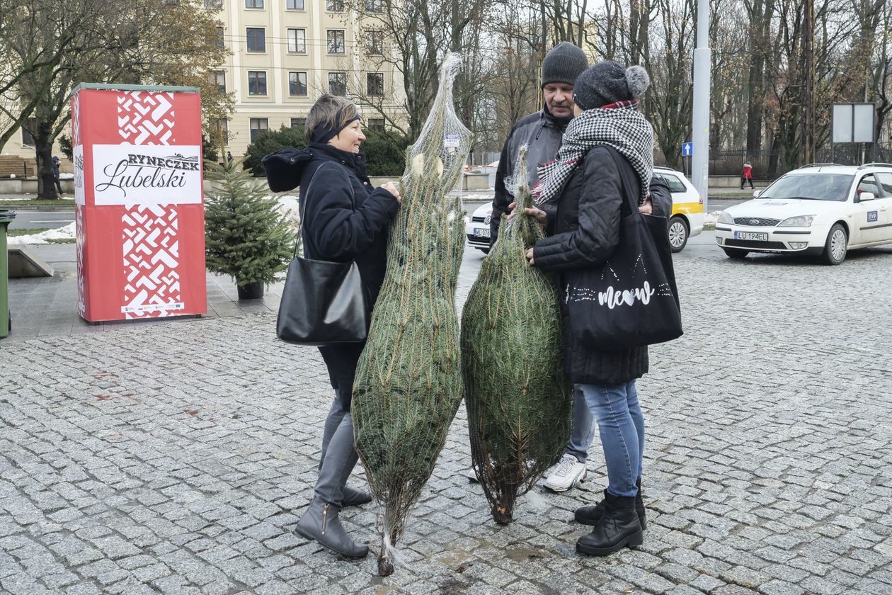  Choinki od marszałka  - Autor: Krzysztof Mazur