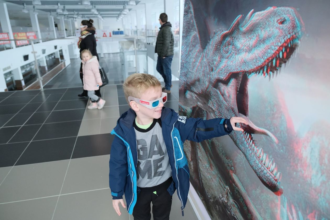  Dinozaury 3D w Targach Lublin (zdjęcie 12) - Autor: Maciej Kaczanowski