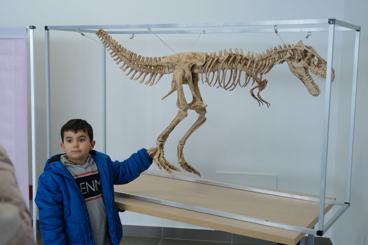  Dinozaury 3D w Targach Lublin (zdjęcie 5) - Autor: Maciej Kaczanowski